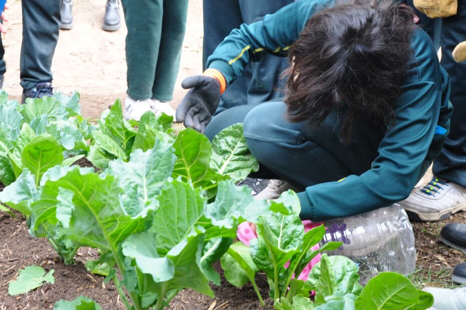 Realizarán la sexta Feria Fin de Cosechas en Maimará