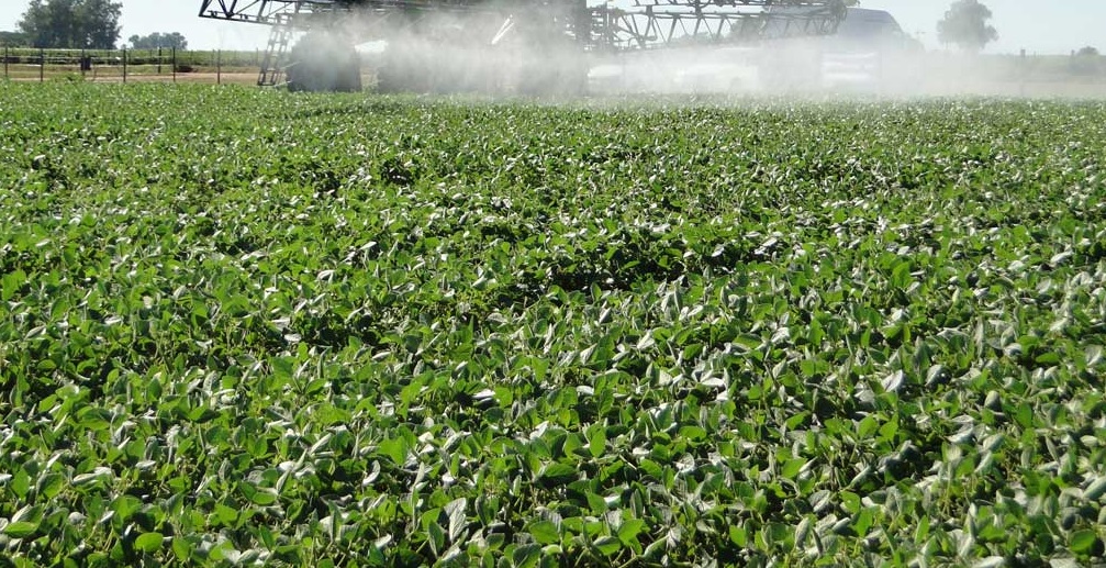 Según la ONG Uma, se detectaron agrotóxicos en el agua potable de varias localidades pampeanas.