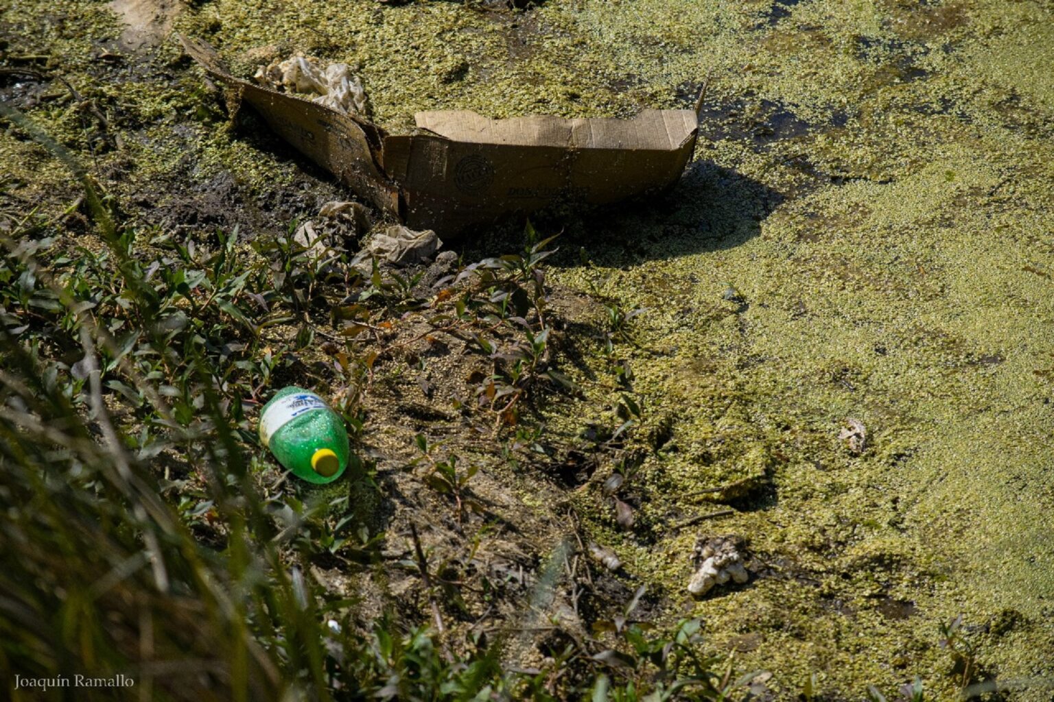 Glifosato: un arroyo entrerriano es el más contaminado de Sudamérica
