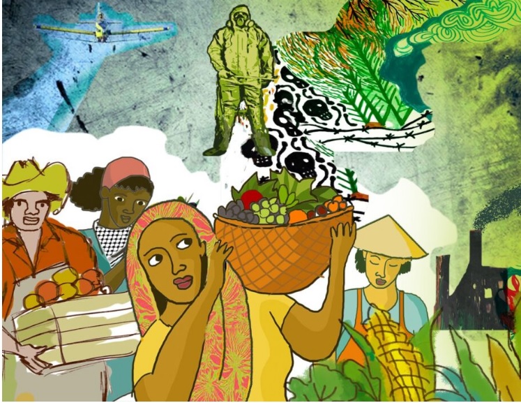 Cae el mito de la baja productividad “bio”; La agroecología rentable.